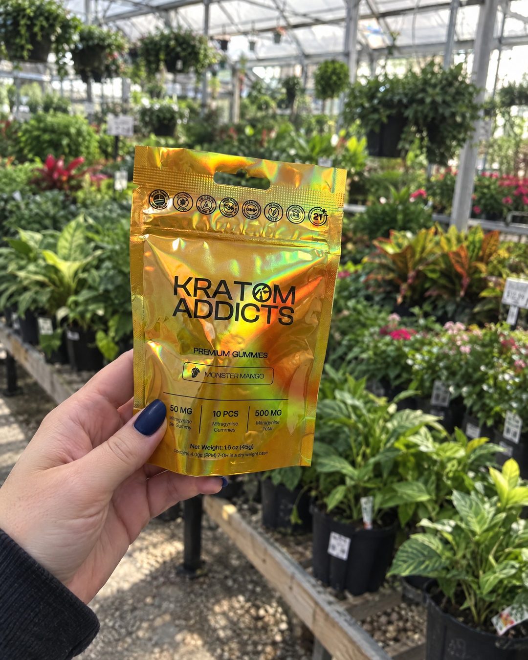 A hand holding Monster Mango kratom gummies in a garden center